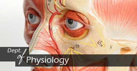 Physiology